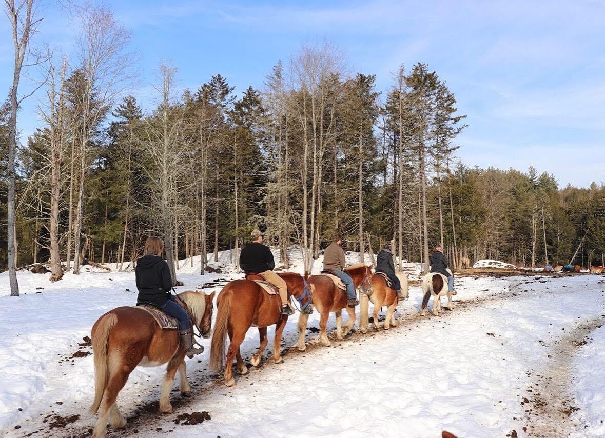 Lajoie Stables